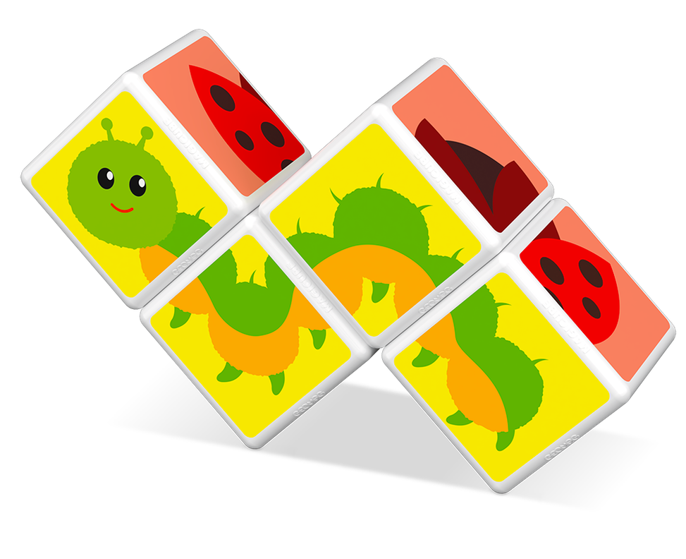 Cubos Magneticos MAGICUBE Insectos (4 piezas)-1