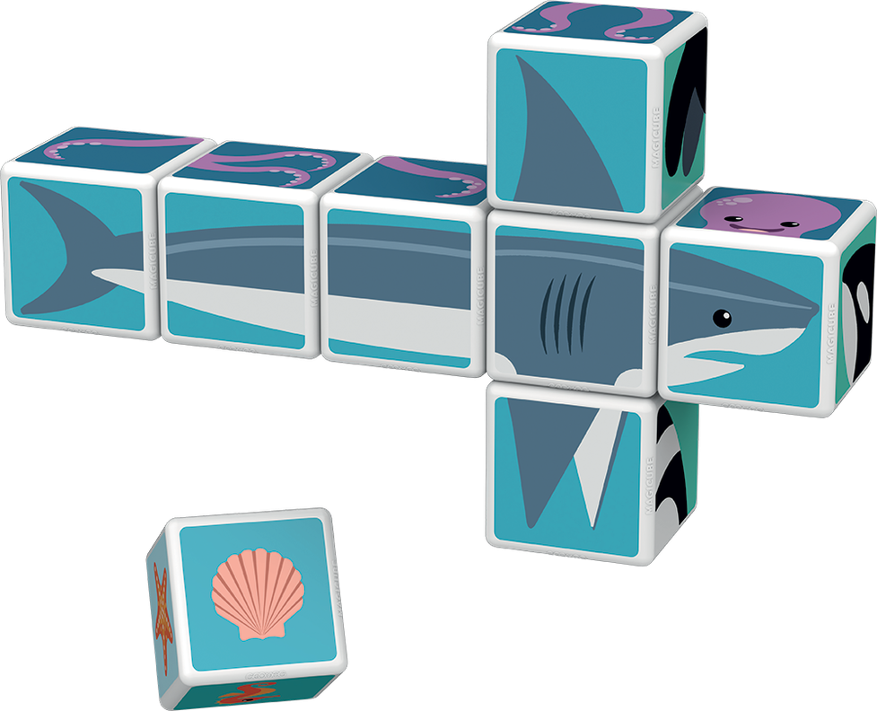 Cubos Magneticos Animales del Mar 8 U-3