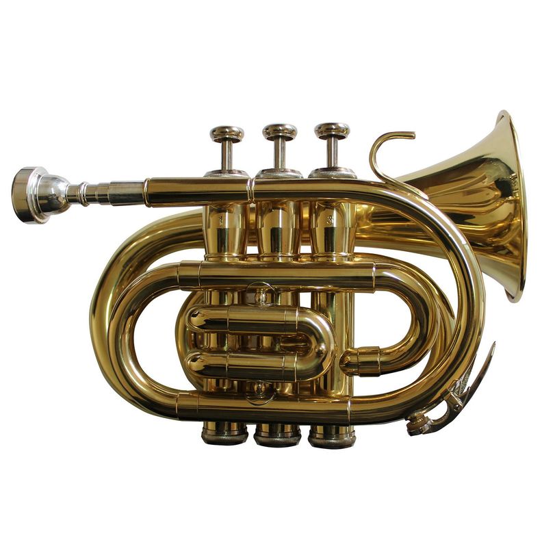 Trompeta Pocket Allegro Bb Dorada All6417L-0