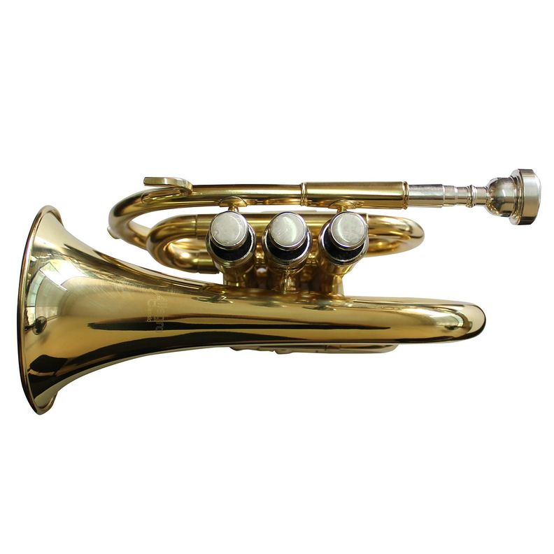 Trompeta Pocket Allegro Bb Dorada All6417L-1