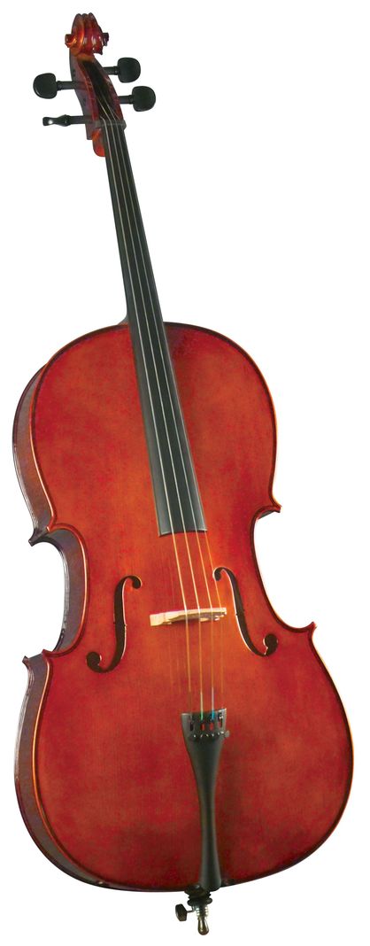 Violoncello Outfit 4/4' HC-100 Cervini-0