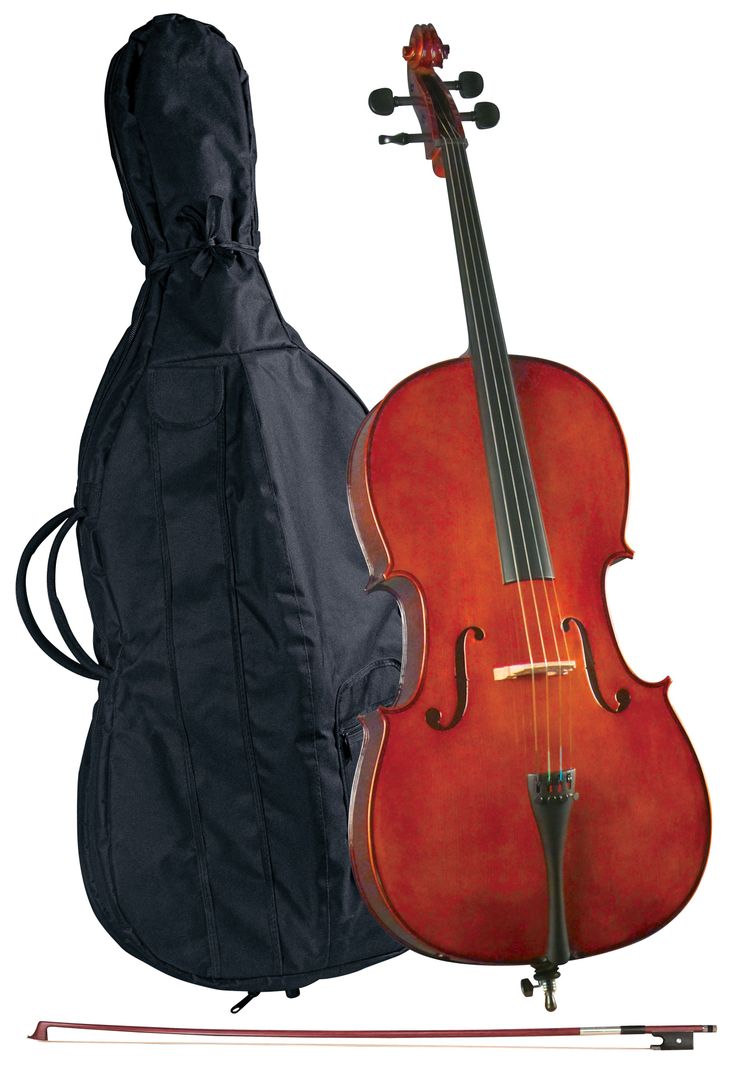 Violoncello Outfit 4/4' HC-100 Cervini-1