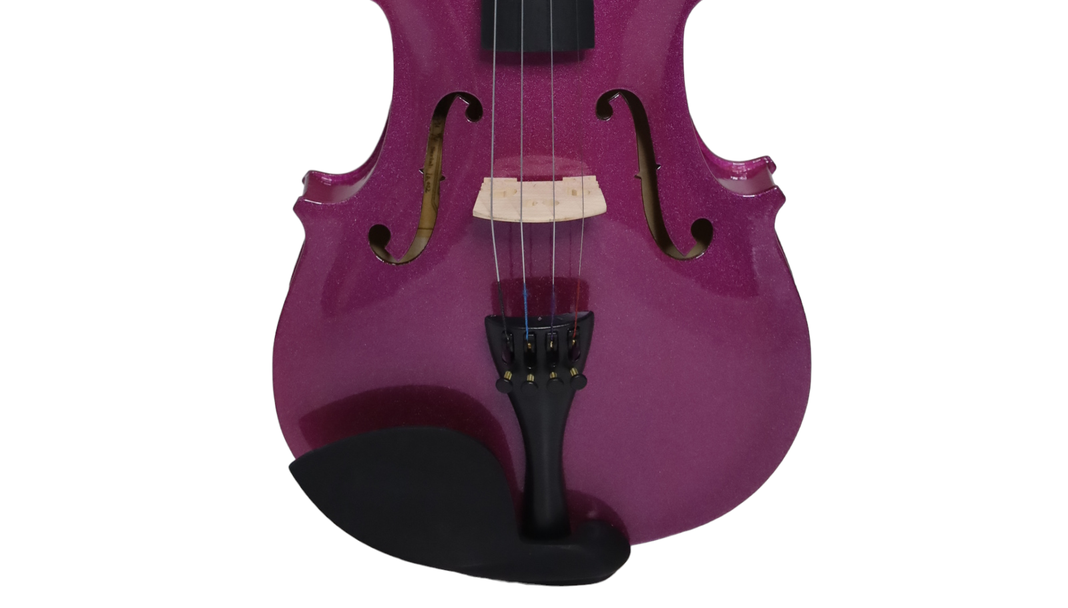 Violín Livorno Color Purpura 4/4 LIV-20PU-2