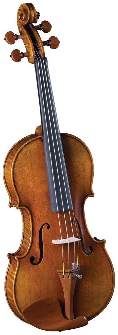 Violín Outfit 4/4' SV-800 Cremona-0