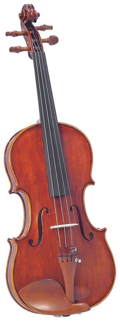 Violin Outfit 4/4 SV-1260 Cremona-0