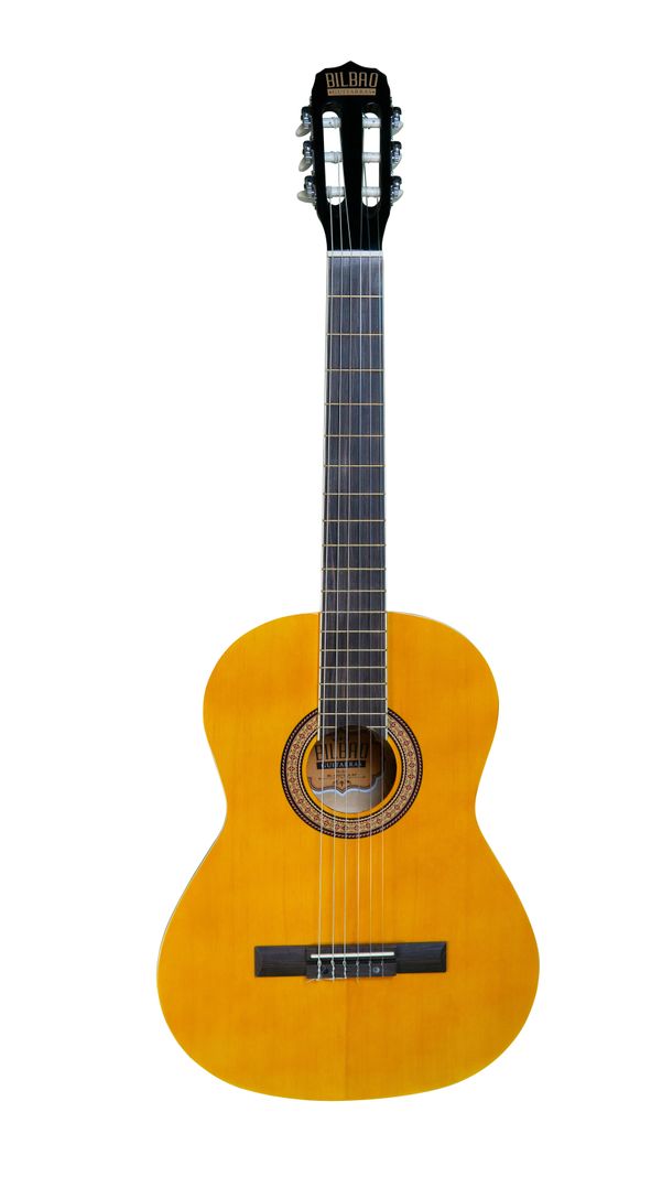 Guitarra acústica Bilbao BIL-CAS + Funda-1