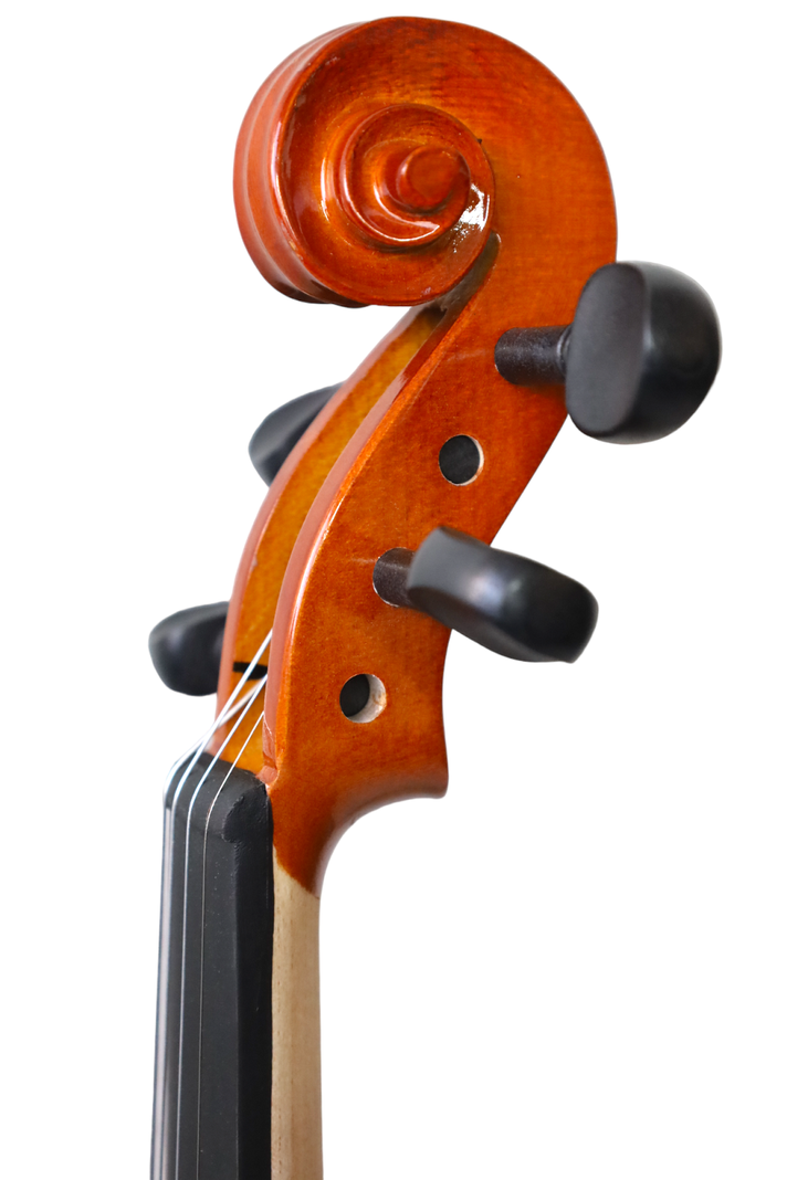 Violín Electroacústico Livorno 4/4  LIV-E-35-4