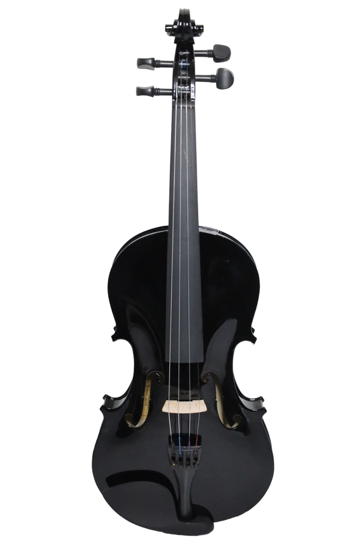 Violín Livorno Color Negro 4/4 LIV-20BK-0