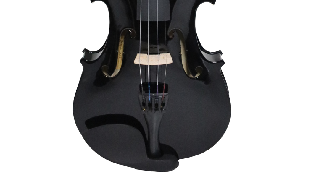 Violín Livorno Color Negro 4/4 LIV-20BK-2