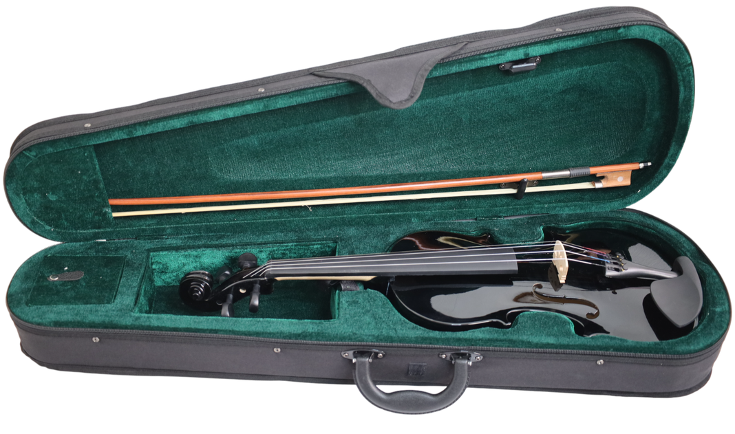 Violín Livorno Color Negro 4/4 LIV-20BK-3