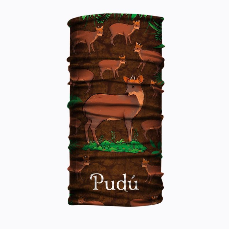 Bandana, Fugaz Store, Café, Pudú-1