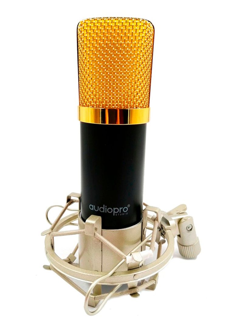 Microfono Condensador Profesional Home Studio-0