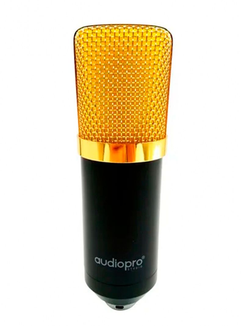 Microfono Condensador Profesional Home Studio-2