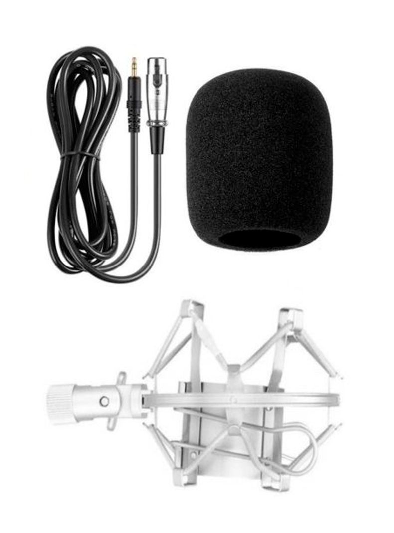 Microfono Condensador Profesional Home Studio-3
