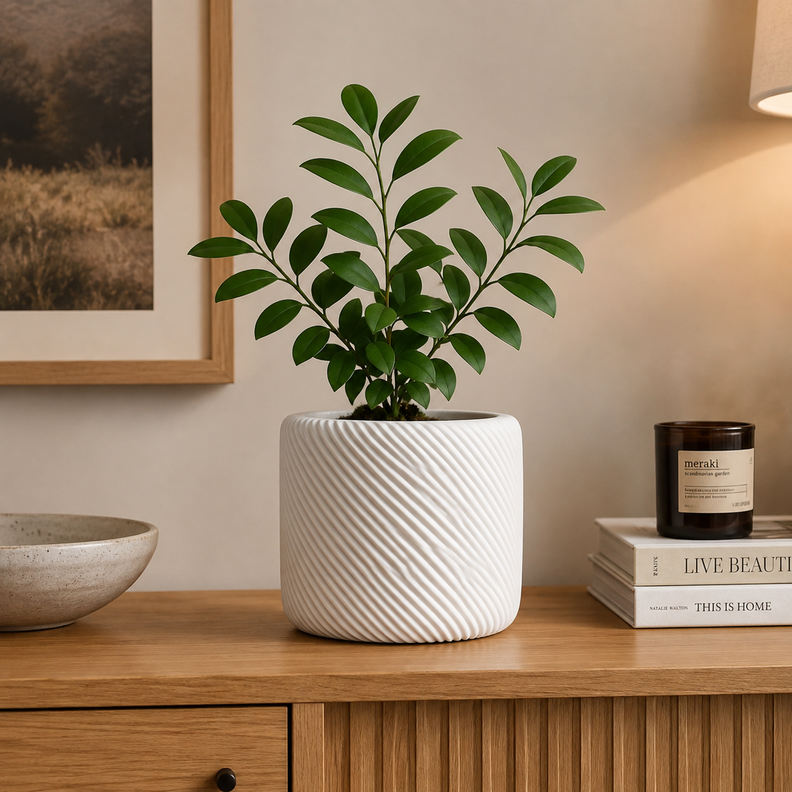 Macetero con diseño ecológico