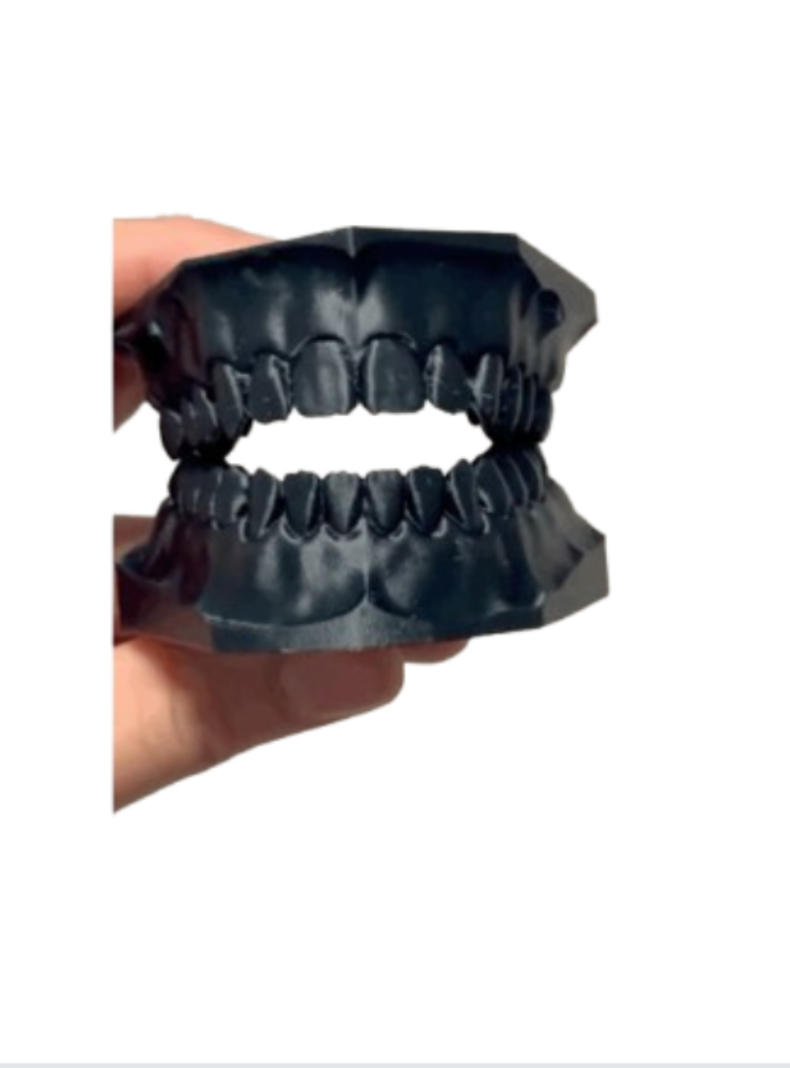 Modelo dental didáctico