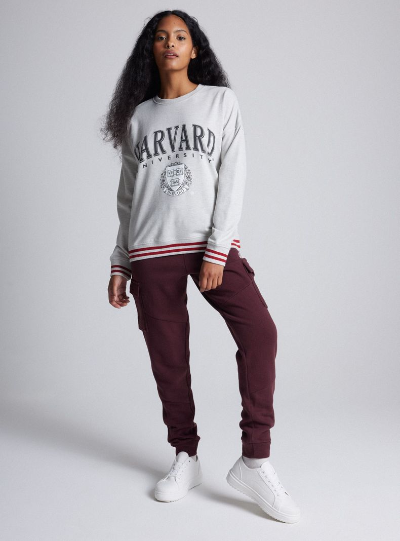 Polerón Manga Larga Hoodie Name And Logo Harvard-3