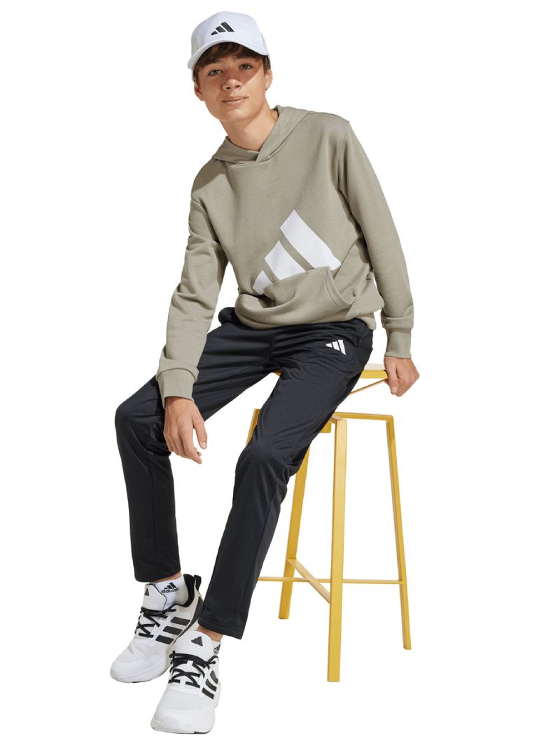 Polerón Hoodie Essentials Niño-4