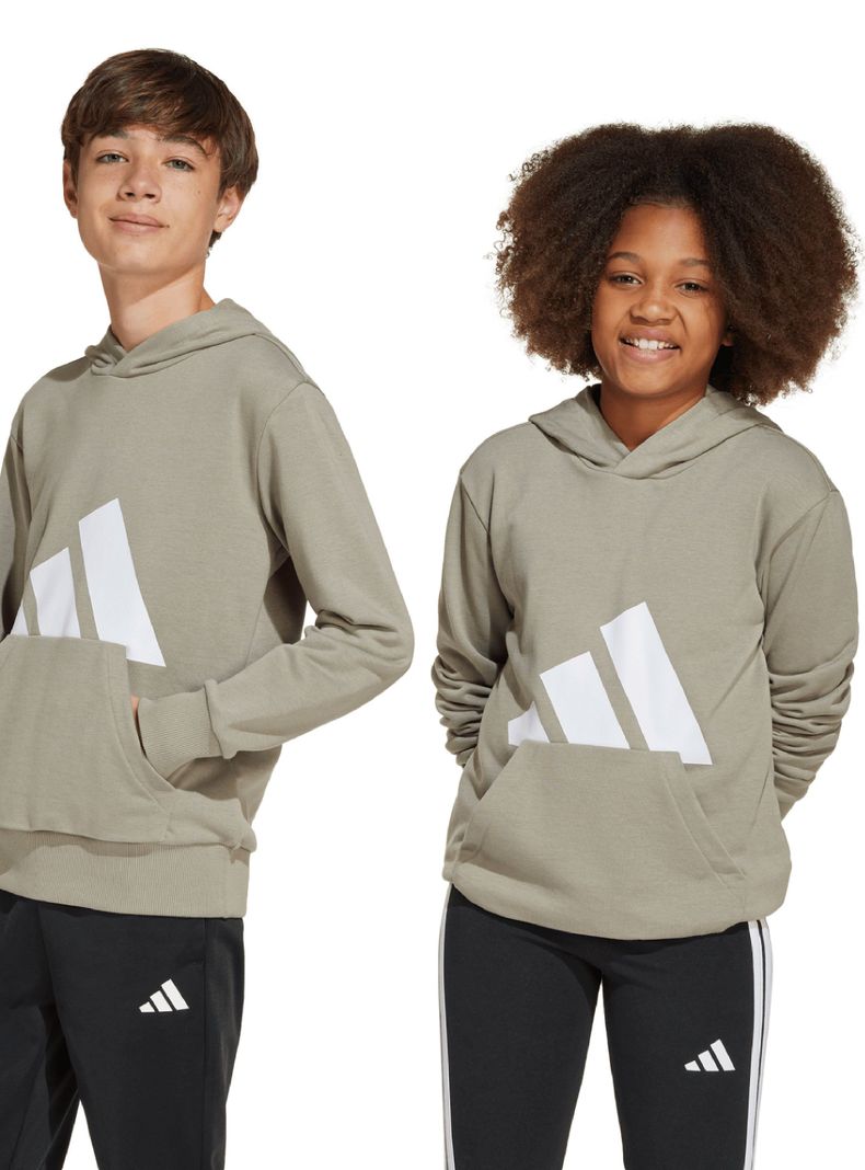 Polerón Hoodie Essentials Niño-5