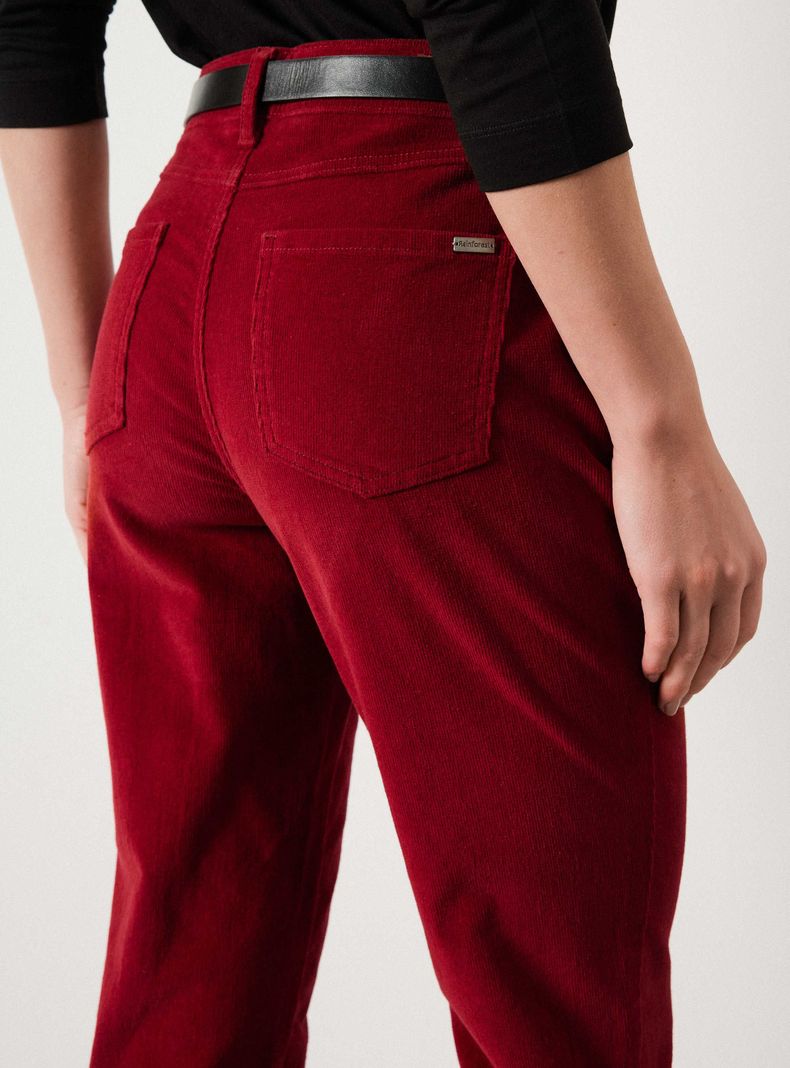 Pantalón Cotelé Slim Fit con Cierre-3