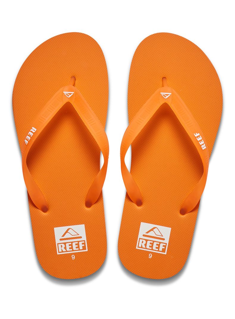 Sandalia Color Seaside Hombre-0