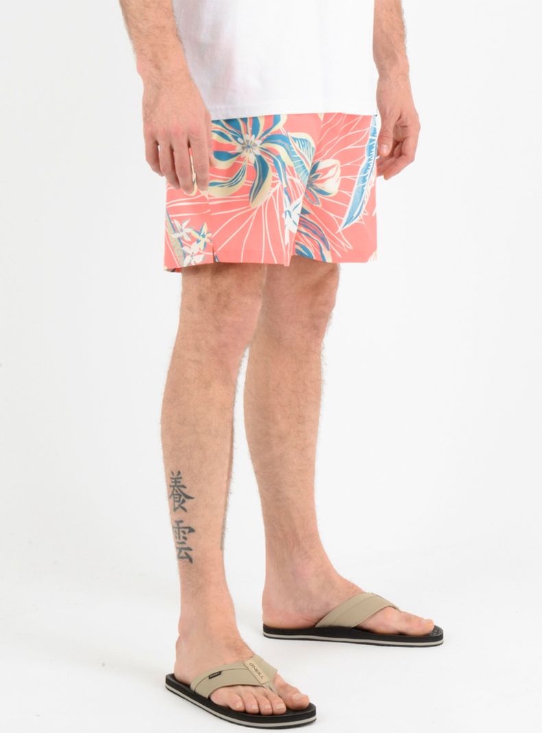 Traje de Baño Print Palm-3