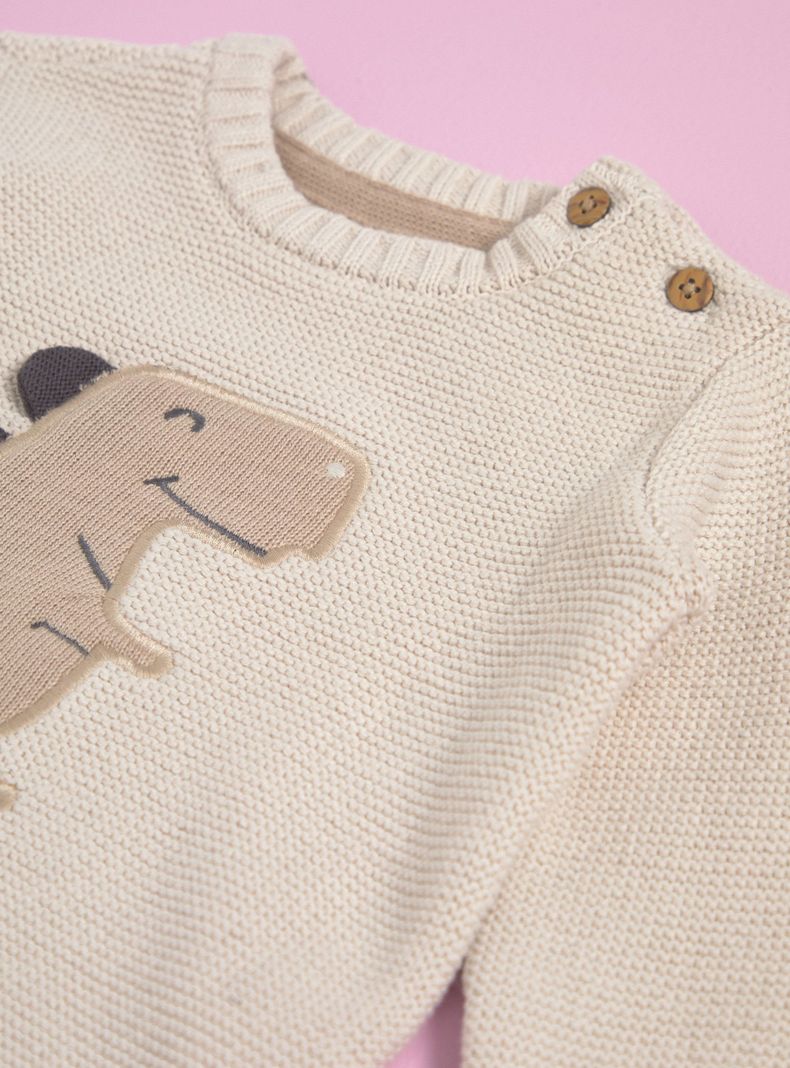 Sweater con Aplicación de Dinosaurio-2