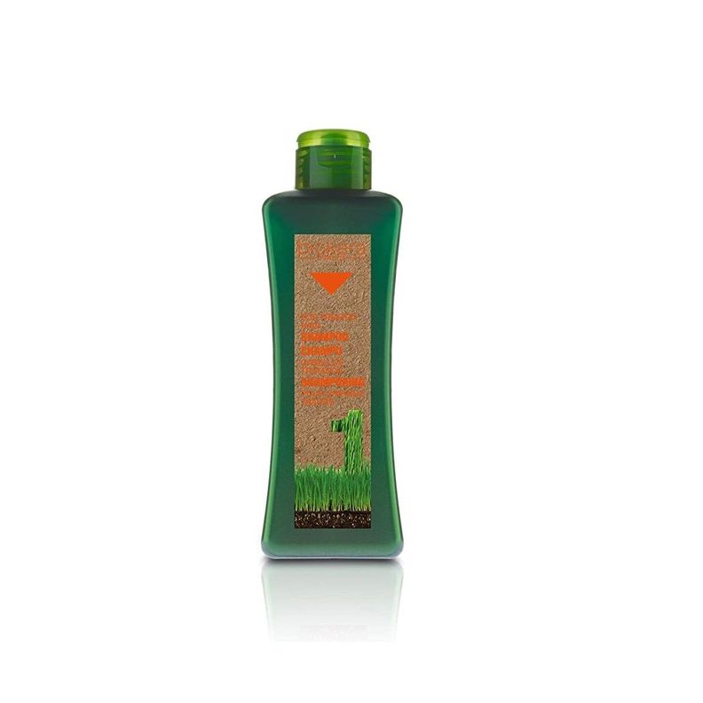 SALERM Shampoo Cabellos Tratados Biokera 300 ml-0