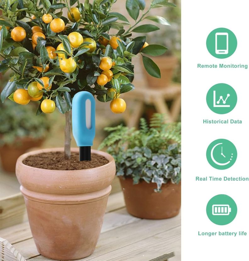 Medidor Humedad Suelo Inalambrico Bluetooth 2 en 1 Humedad Temperatura-2