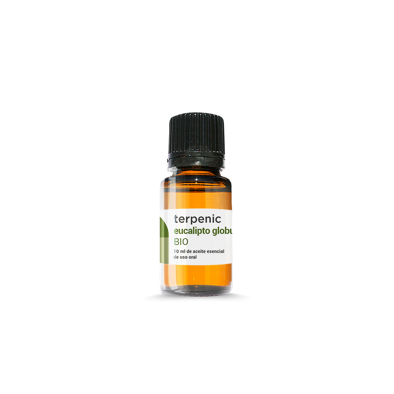 Aceite Esencial de Eucalipto Globulus Bio 10ml-1