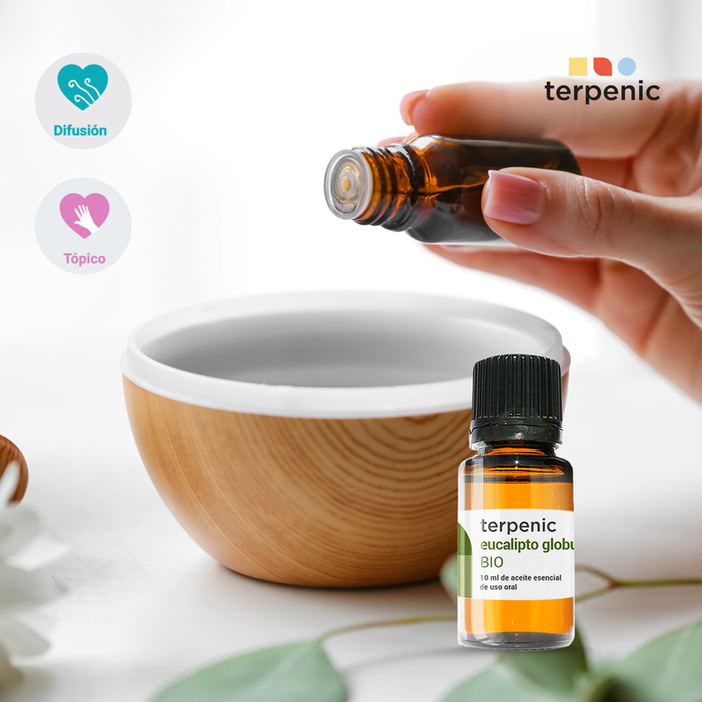 Aceite Esencial de Eucalipto Globulus Bio 10ml-4