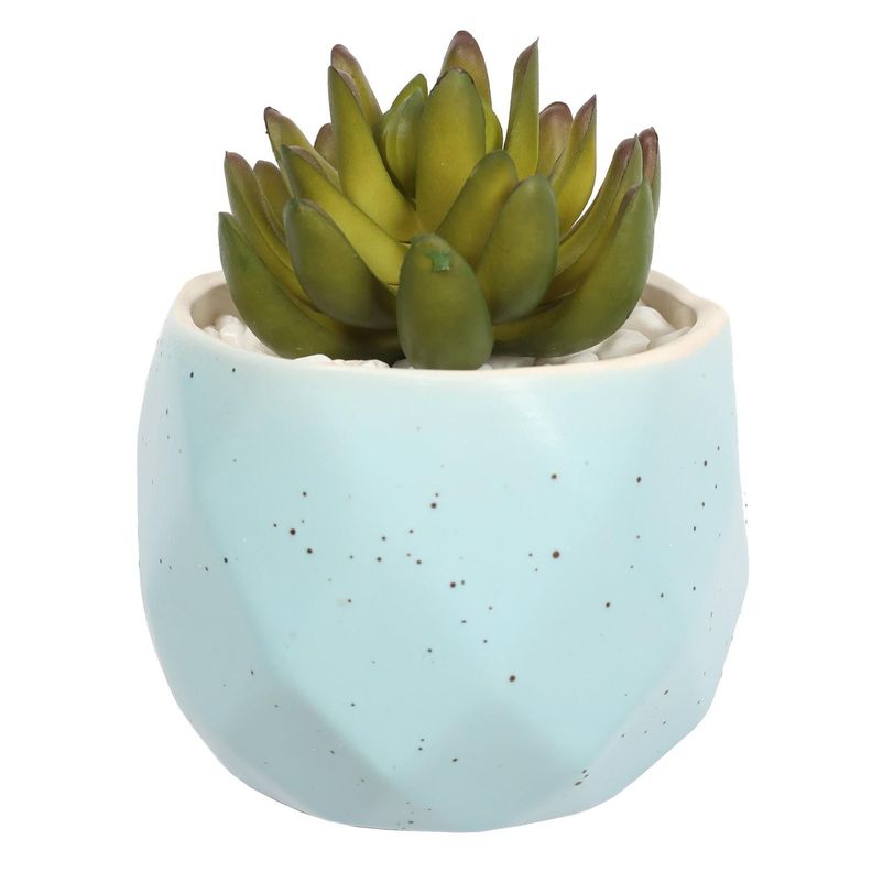 Suculenta En Macetero Celeste 14 Cm-0