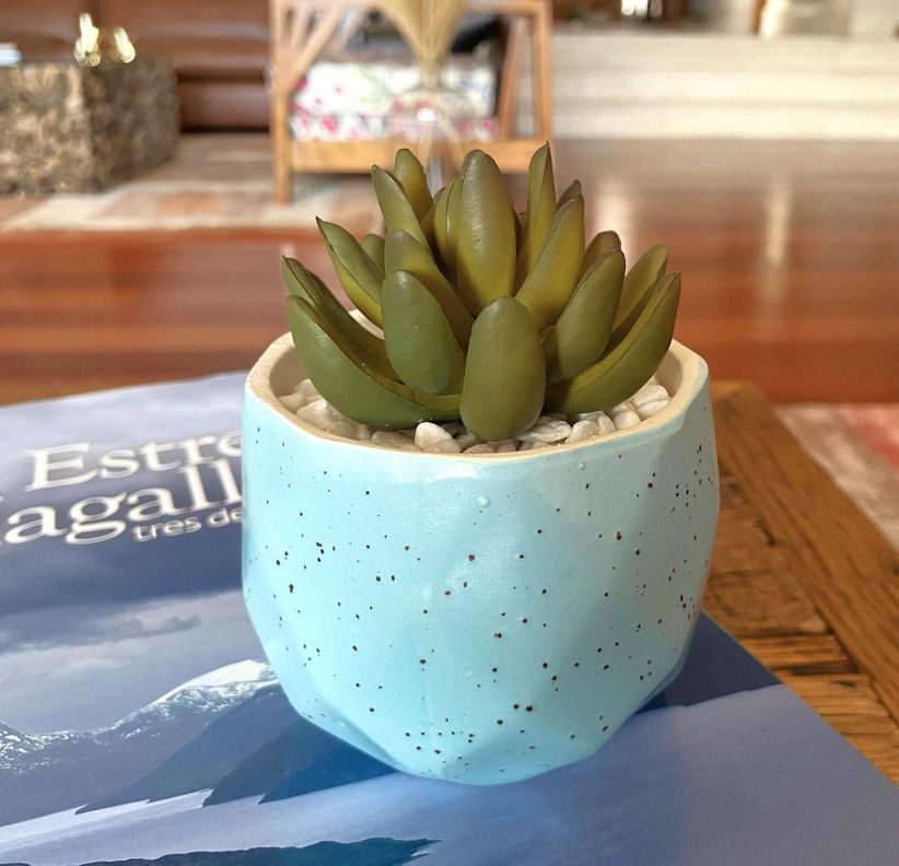 Suculenta En Macetero Celeste 14 Cm-1