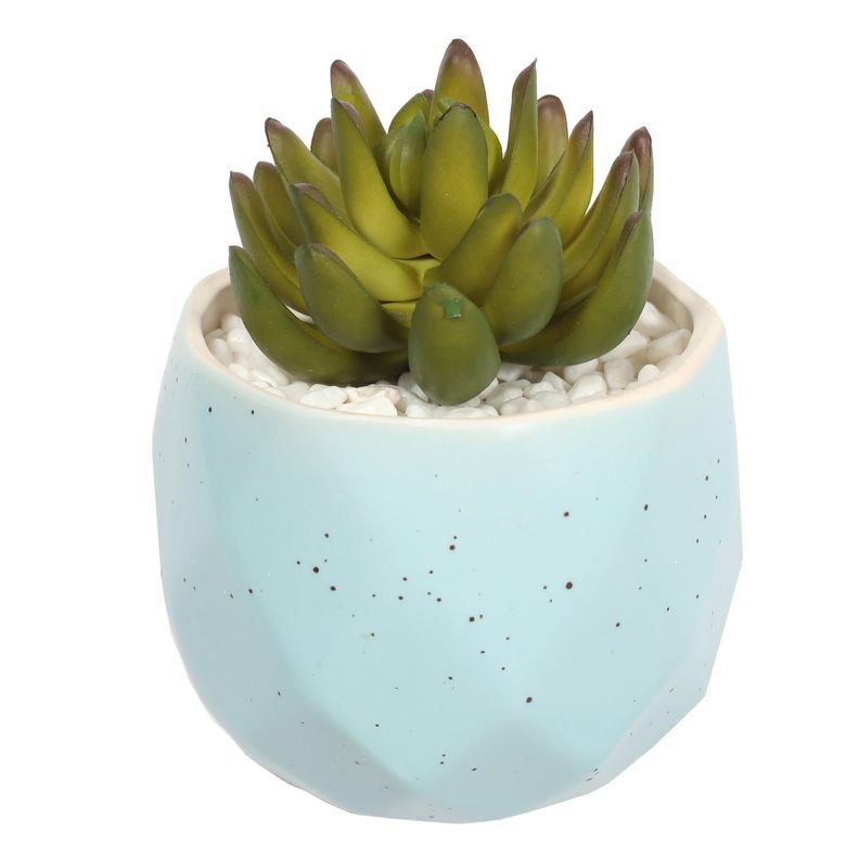 Suculenta En Macetero Celeste 14 Cm-4