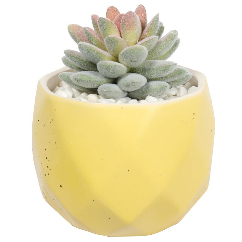 Suculenta En Macetero Amarillo 14 Cm-0