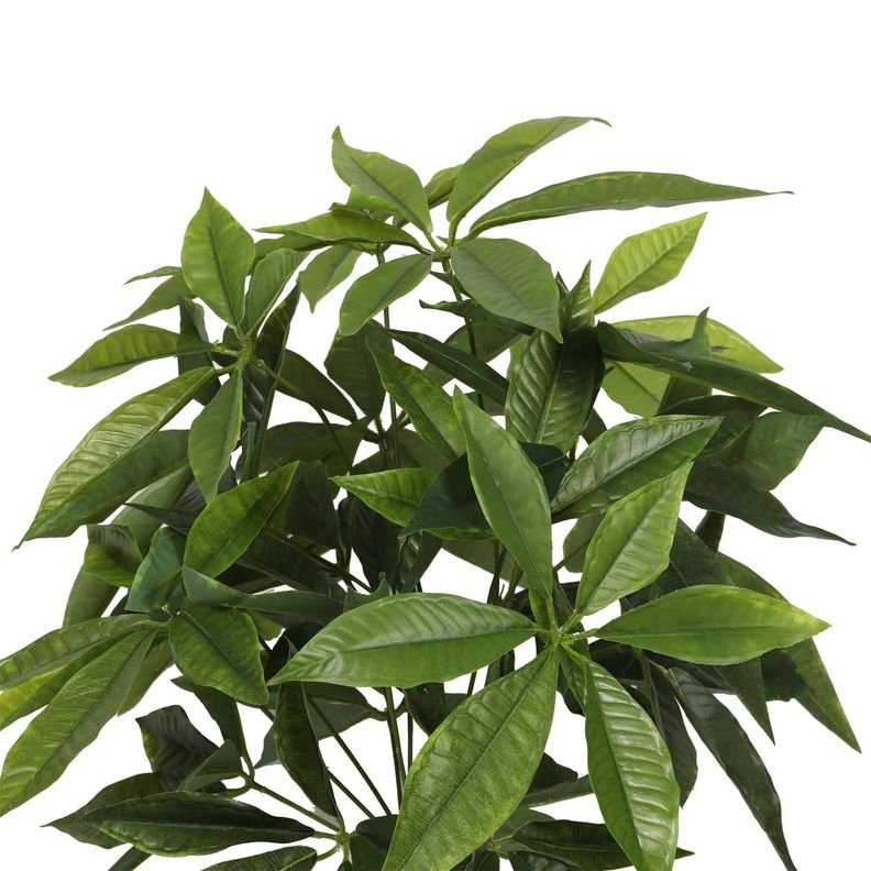 Planta Artificial Pachira 90 CM-1