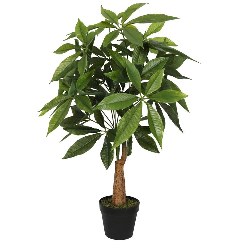 Planta Artificial Pachira 90 CM-5