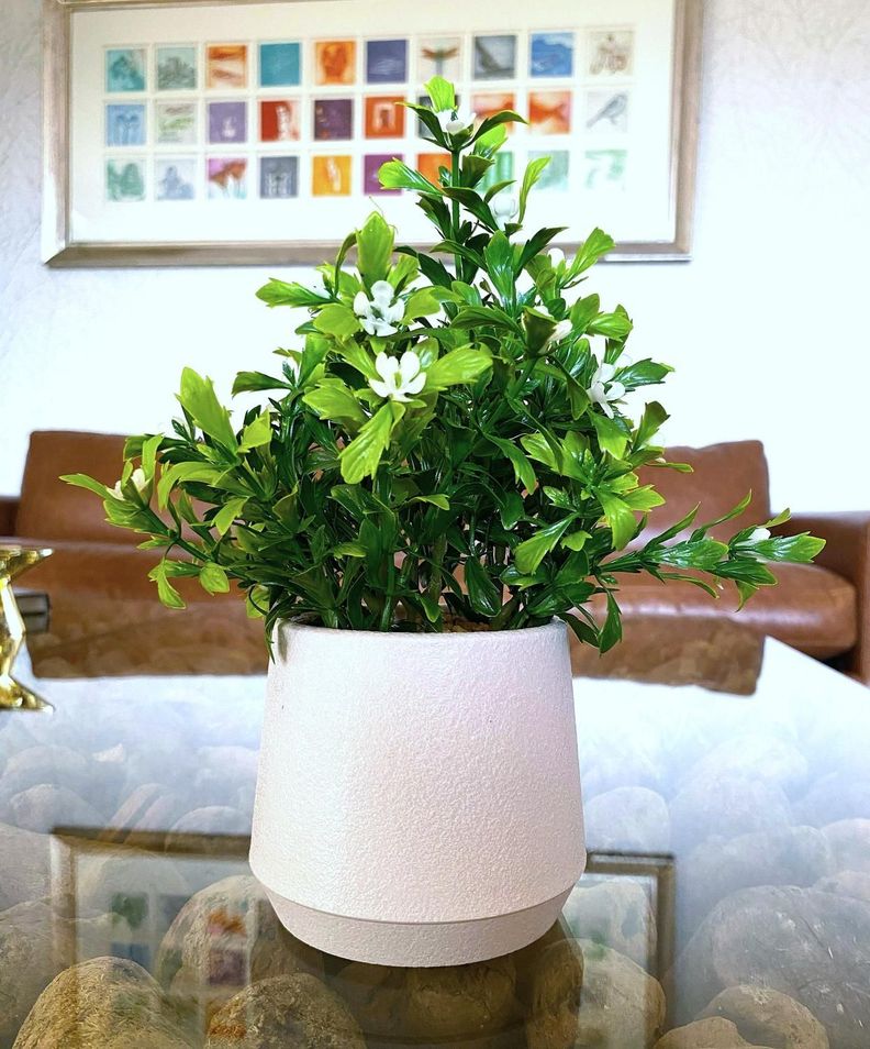 Planta Decorativa con Macetero tipo Mármol 24 CM-1