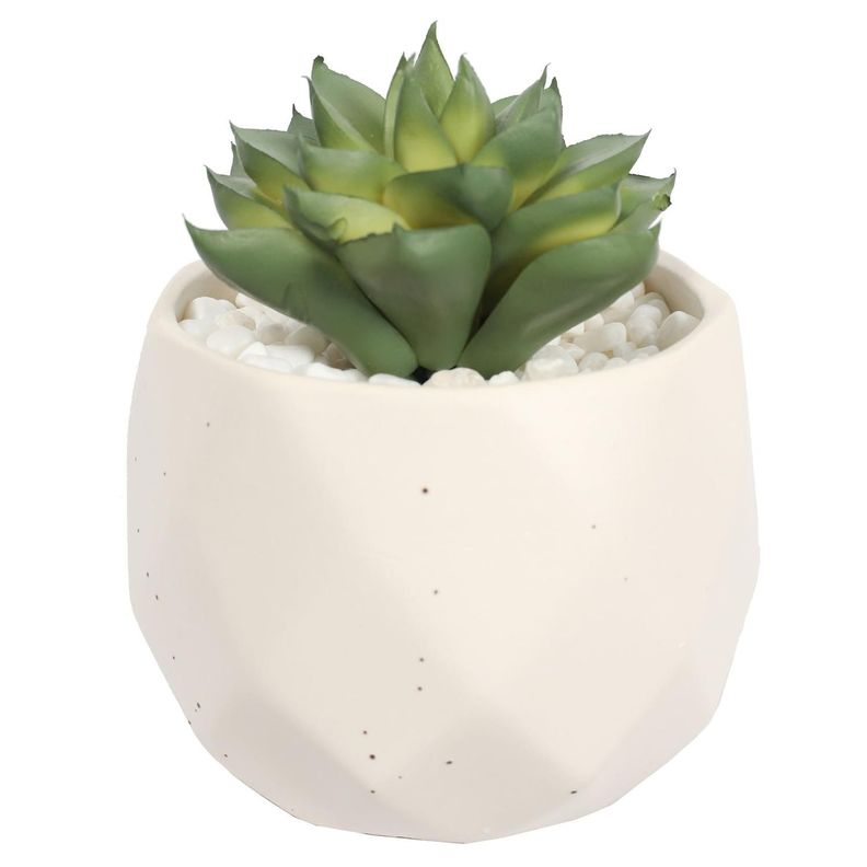 Suculenta En Macetero Crema 14 Cm-0