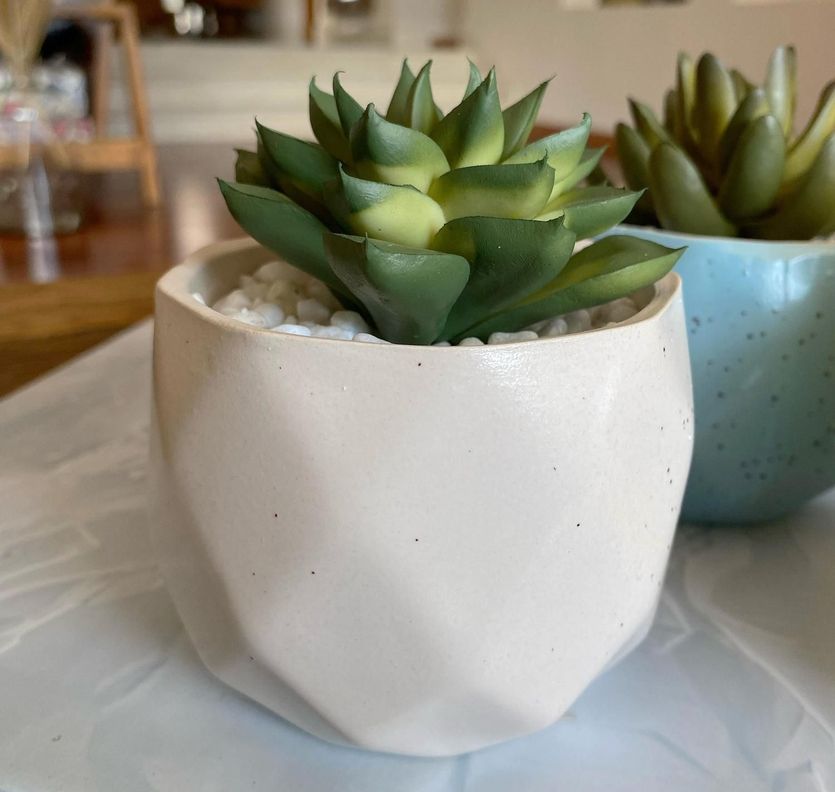 Suculenta En Macetero Crema 14 Cm-1
