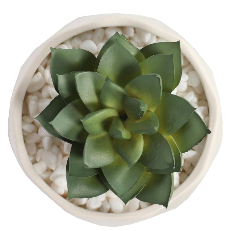 Suculenta En Macetero Crema 14 Cm-3