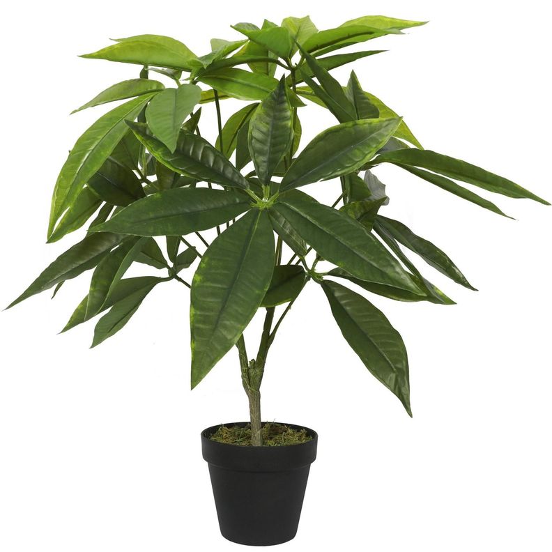 Planta Artificial Pachira 55 CM-0