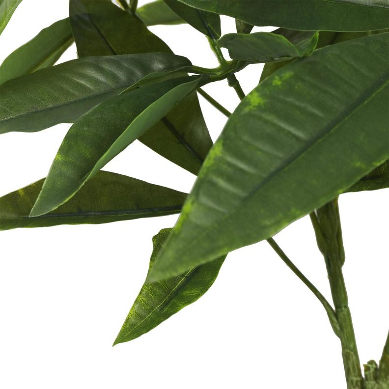 Planta Artificial Pachira 55 CM-1