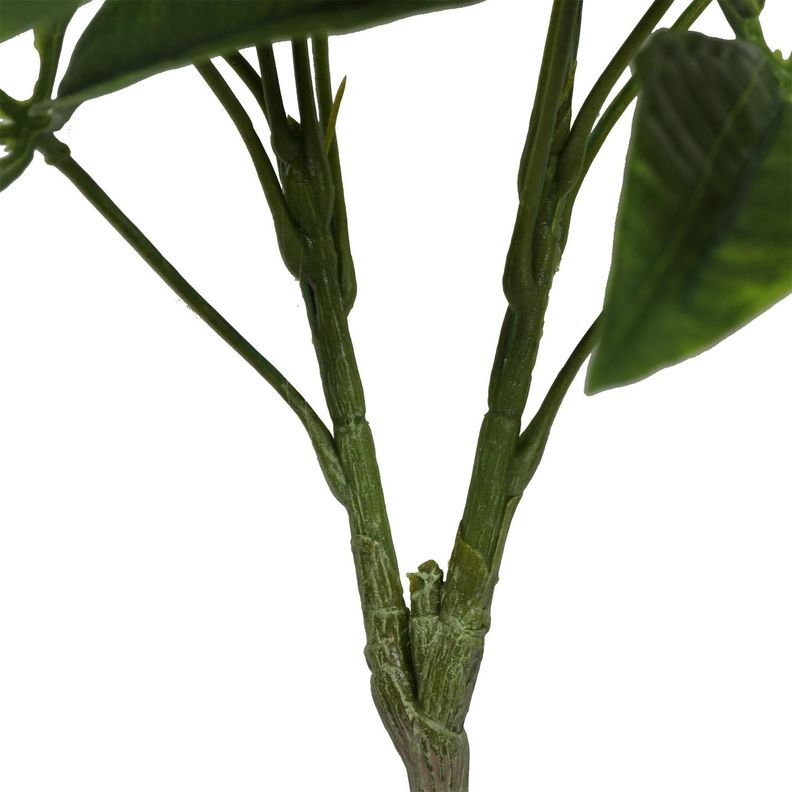 Planta Artificial Pachira 55 CM-2