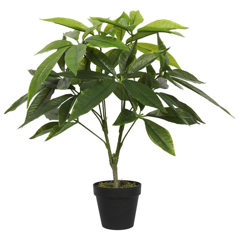 Planta Artificial Pachira 55 CM-4