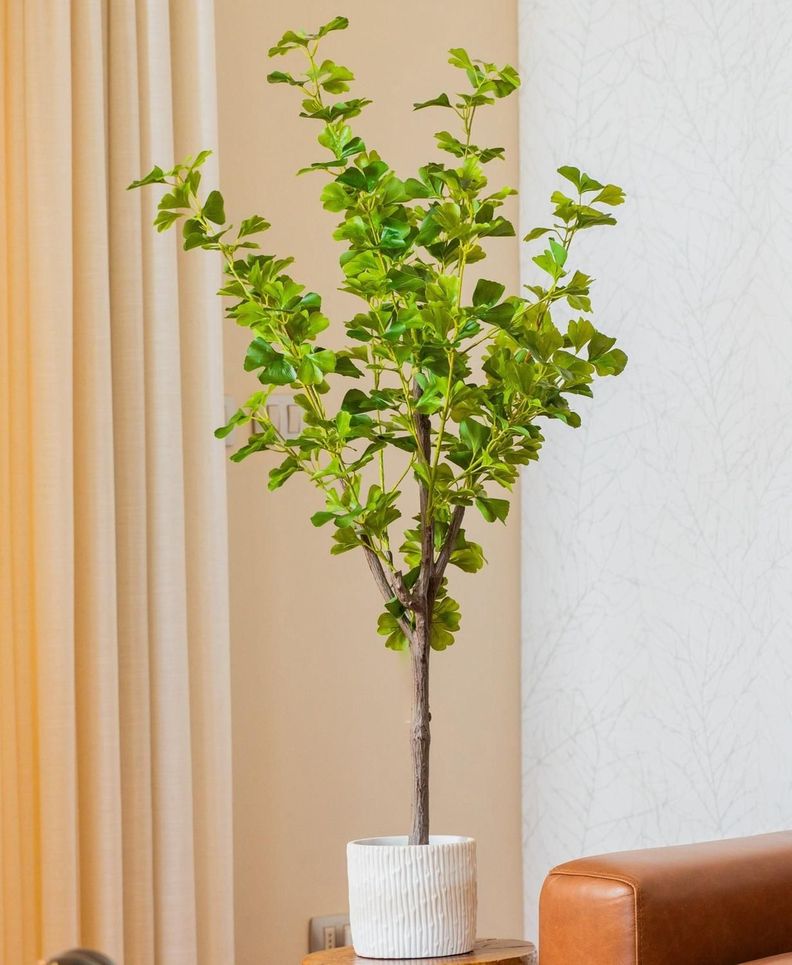 Planta artificial Ginkgo 121 Cm-1