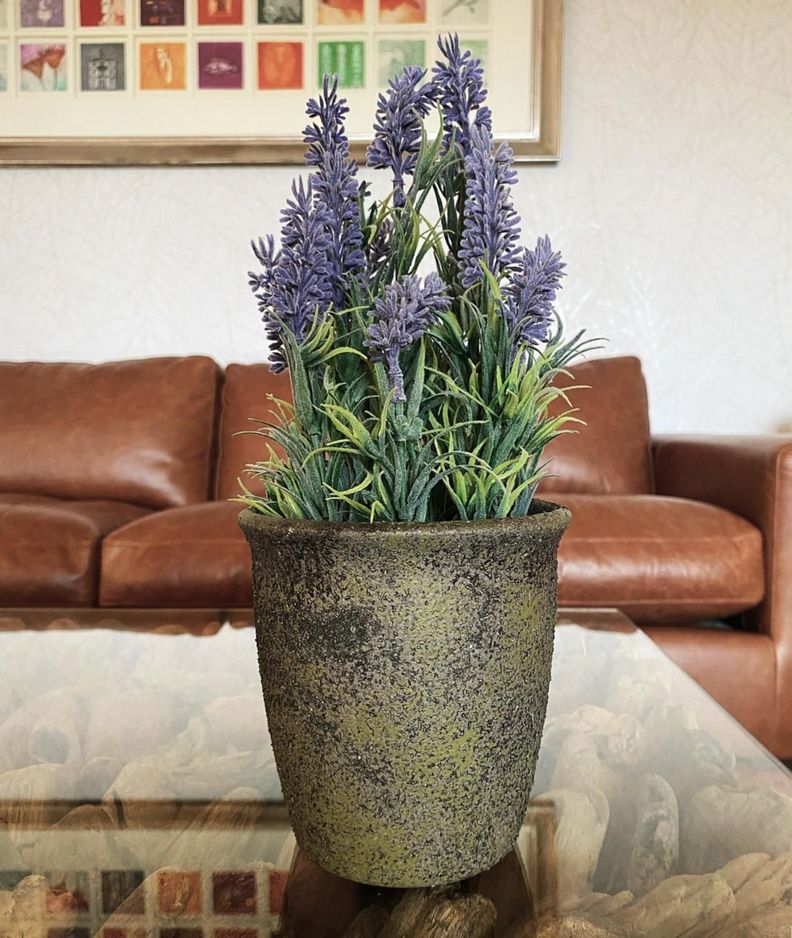 Mini Lavanda 31 Cm-1