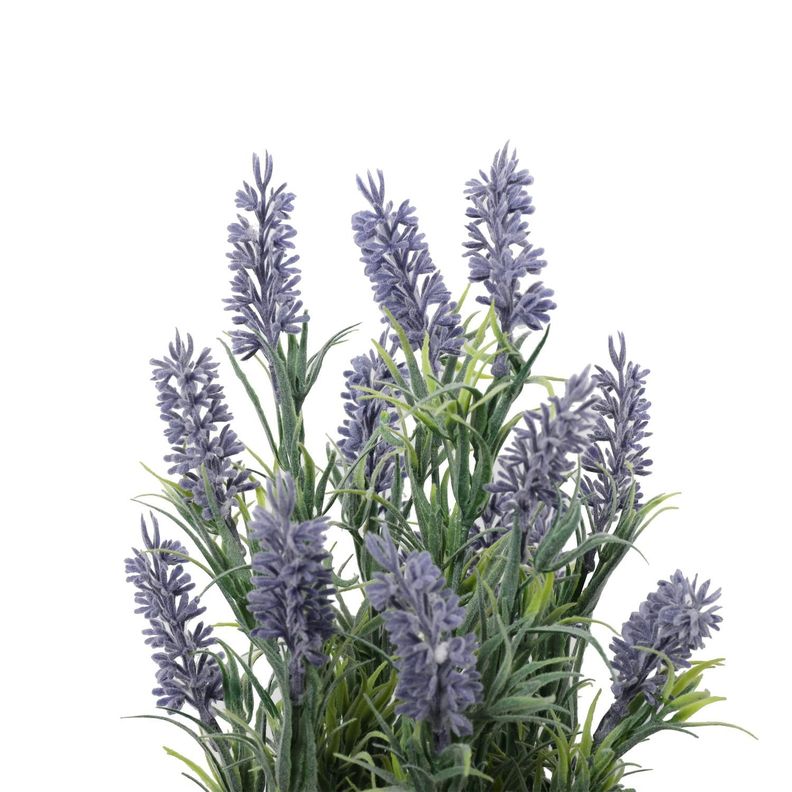 Mini Lavanda 31 Cm-2