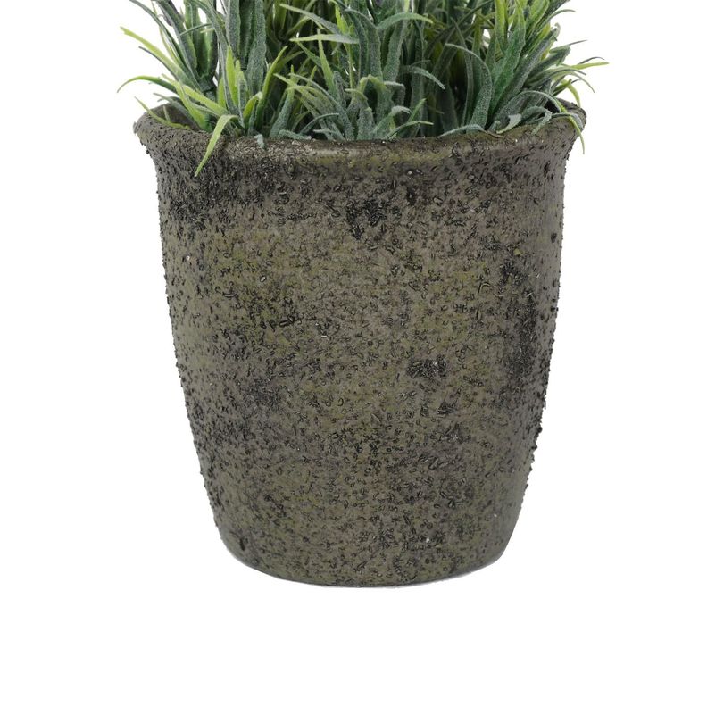 Mini Lavanda 31 Cm-3