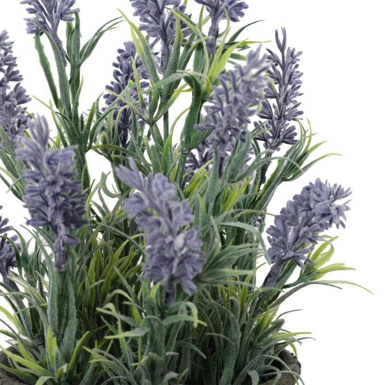 Mini Lavanda 31 Cm-4